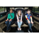 DX 2-in-1 Harness Booster Car Seat - Sweetberry