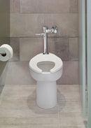 American Standard Exposed, Top Spud, Manual Flush Valve, For Use With Category Toilets, 1.6 Gallons per Flush - 6047161.002