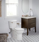 American Standard Gravity Fed, Single Flush, Left Hand Trip Lever, Toilet Tank, 1.28 Gallons per Flush - 4225A164.020