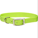 Coastal Pet, Lime Collar, 5/8"