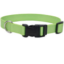 18"- 26" Adjustable Dog Collar w/Plastic Buckle, Lime Green