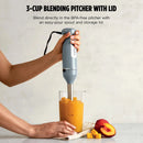 Immersion Blender and Whisk - Gray