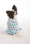Blue Owl Print PJ's, Medium