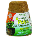 4.25" Coconut Coir Plantable Pots-6 pack