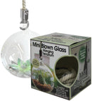 Mini Blown 4 in. Glass Hanging Terrarium