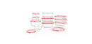 20pc Glass Freshlock Food Storage Set