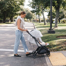 Minu V3 Travel Stroller - Evelyn (Meadow Green/Carbon Frame/Chestnut Leather)