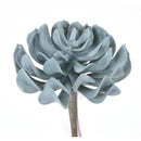 Lotus Succulent Pick, Blue/Green, 5 in.