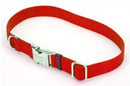 Coastal Pet, Titan Adjustable Collar, 1", Red