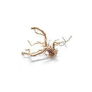 Zoo Med, Spider Wood, Large