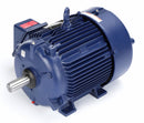 Marathon Motors 15 HP Cooling Tower Motor,3-Phase,1775 Nameplate RPM,230/460 Voltage,Frame 254T - 254TTFCD16568