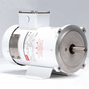 Dayton DC Washdown Motor, DC Permanent Magnet, 1/2 HP - 1F648A