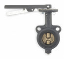 Milwaukee Valve Wafer-Style Butterfly Valve, Cast Iron, 200 psi, 4 in Pipe Size - MW222B 4