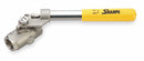 Sharpe Ball Valve, 316 Stainless Steel, Inline, 2-Piece, Pipe Size 1 in, Connection Type FNPT x FNPT - SV54576DMH010