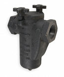 Mueller Steam Specialty Basket Strainer 2", FNPT x FNPT, Buna-N - 2 125 CI iron body screwed