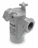 Mueller Steam Specialty Basket Strainer2", FNPT x FNPT, Buna-N - 2 125 SS screwed