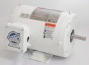 Dayton 3/4 HP Washdown Motor,3-Phase,1745 Nameplate RPM,230/460 Voltage,Frame 56 - 1TTC2