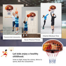 Wall Mounted Fan Backboard With Basketball Hoop and 2 Nets