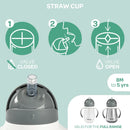 Stainless Steel Straw Sippy Cup - Terracotta