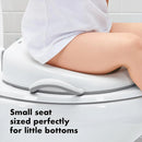 Sit Right Potty Seat - Gray