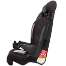Grand 2-in-1 Booster Car Seat - Black Sparrow