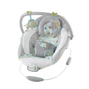 Soothing Baby Bouncer with Vibrating Infant Seat - Morrison