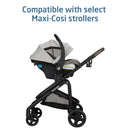 Mico Pro+ Infant Car Seat - Oyster Shell