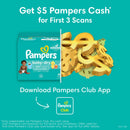 Baby-Dry Size 1 Diapers - Jumbo Pack