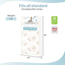2-In-1 Breathable Two-Sided Portable Crib Mattress