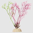 Tetra, Glofish Plant, Red Algae, Medium