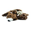 Marshall, Bear Rug