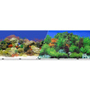 Blue Ribbon, Double Sided Caribbean Reed/Garden Background, Priced Per Foot