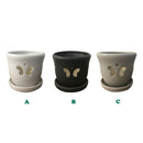 Border Concepts Butterfly Orchid Pot w/ Attached Saucer , Matte Finish, 7.25-Inch (Colors Vary)