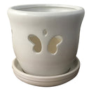 Border Concepts Butterfly Orchid Pot w/ Attached Saucer , Matte Finish, 7.25-Inch (Colors Vary)