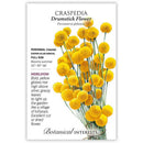 Botanical Interests, Craspedia