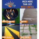 Flame King Weed Burner Weed Torch Kit 1 pc Propane