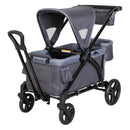 Expedition 2-in-1 Stroller Wagon Plus - Ultra Grey