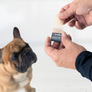 Kradle Quick Calm CBD Melts for Small Dogs 10 mg, 10 count