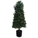 Direct Export, Winter Boxwood Cone Topiary, 25"