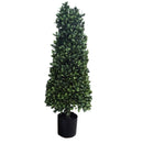 Direct Export, Winter Boxwood Cone Topiary, 30"