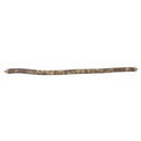 Prevue Pet- Natrual Wood Perch- 29.5"X.825"