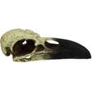 Komodo, Raven Skull, Medium