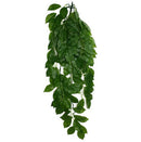Komodo, Climbing Plants Green Leaf, Large