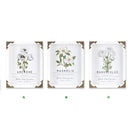 Melrose, Floral Wall Boxes, Assorted and Sold Separately