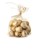 24 Pack Gilded Bloomsbury Egg Bag