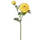 Regency, Cloony Ranunculus, Yellow, 19"