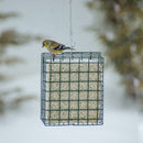 Mr. Bird, Safflower Large Cake, 31 oz.