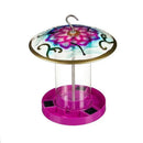 Evergreen, Solar Birdfeeder W/ Dragonfly