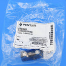 Pentair Style-II 3-Prong Tool 229940 522079