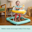Disney Baby Winnie the Pooh Once Upon a Walk Activity Walker